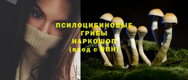 прущая мука Ельня