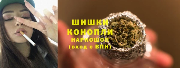 прущая мука Ельня