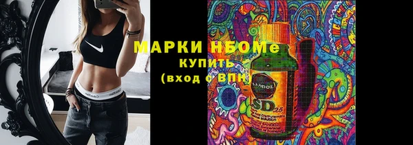 ешки Елабуга