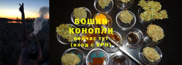 ешки Елабуга